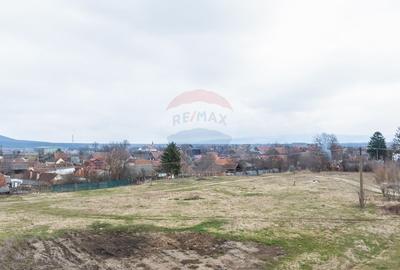 Teren Construcții intravilan de 9979 mp, în Crizbav - 1