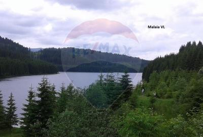 Vanzare Padure 2200 hectare in Romania - 2