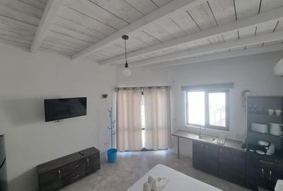 Casă cu 10 camere cu Piscina în Sud-Est - 34
