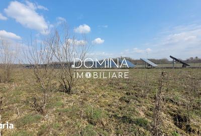 Teren de 978 mp, în Drăguțești - 6