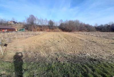 Teren de 5000 mp, în Crăcăoani - 4