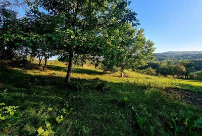 Teren de 3250 mp, în Păușești