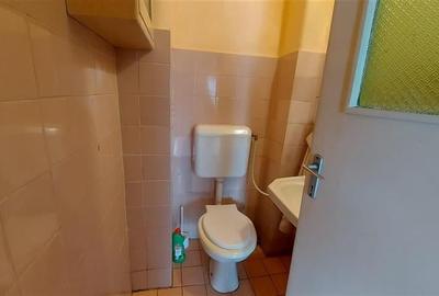 Compozitie frumoasa si luminoasa, pe 90 mp, Dambu Pietros, Targu Mures - 17
