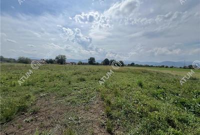 Teren intravilan de 8600 mp cu deschidere la doua drumuri in Cristian - 3