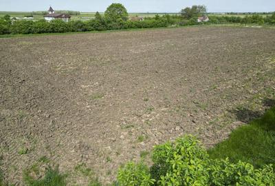 Teren Intravilan de 3,090 mp in Cuvin - 7