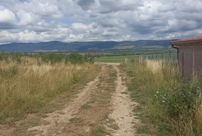 Teren de 4102 mp, în Valea Crișului - 4