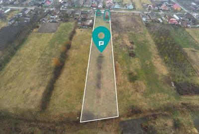 Teren 3930 mp Padureni - 4