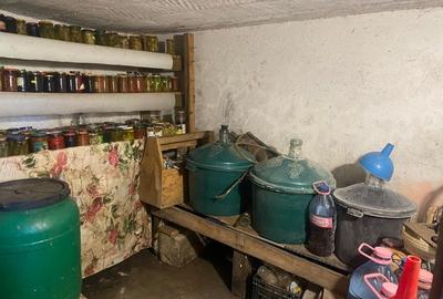 Casa cu gradina si anexe de vanzare, Balta, com. Runcu, Gorj - 18