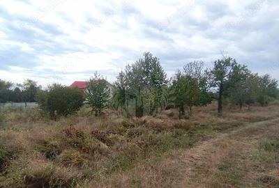 TEREN PAULESTI//17211 MP// INTRAVILAN - 1