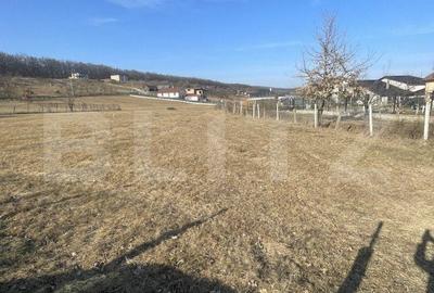 Teren de 742 mp, în Central