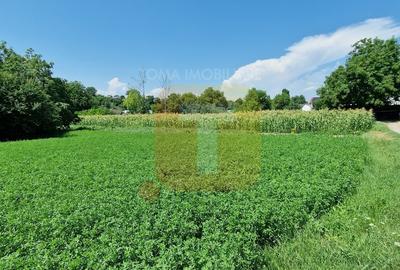 Teren intravilan 4.133 mp cu dublă deschidere – Girov, Neamț | Toma Imobiliare - 3