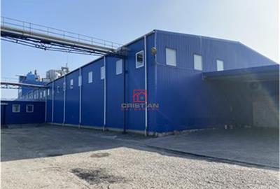 Depozit/hala/spatiu industrial Berceni - Metalurgiei, Bucur Depozit/hala/spatiu industrial Berceni - Metalurgiei, Bucur - 3