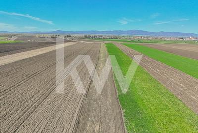 Vanzare teren extravilan agricol Halchiu 15000mp - 6