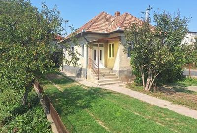 Casa individuala, curte mare 700 mp,zona Avram Iancu - 4