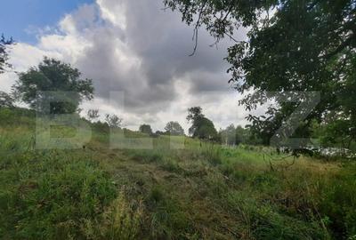 Anexa cu teren  5000mp, langa padure, Dobrovat