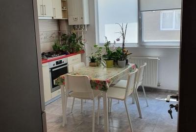 Apartament Ozana - 11