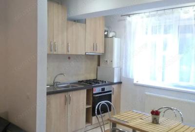 Apartament cu 2 camere decomandat în Timișoara - 5