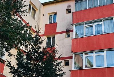 Apartament cu 2 camere decomandat în Precista - 2