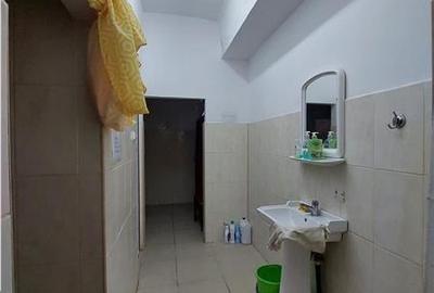 Hale de inchiriat cu acces din centura - 10