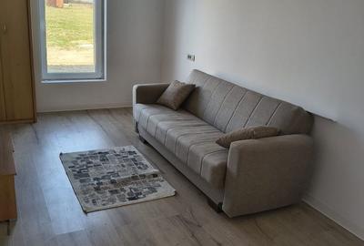 Casă cu 3 camere cu Teren 250 Mp în Remetea Mare - 11