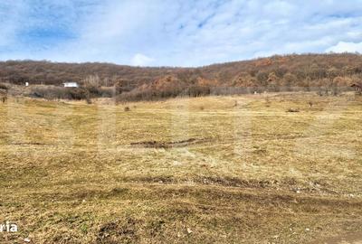 Spațiu comercial, în Florești - 2