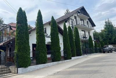 Vrei să devii antreprenor în turism? O pensiune te așteaptă în Cicanesti Arges - 1