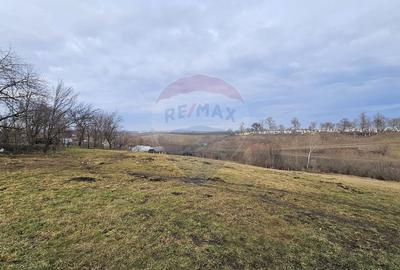 Teren 2,971mp intravilan Stroiesti-Suceava-Bucovina Teren 2,971mp intravilan Stroiesti-Suceava-Bucovina - 5