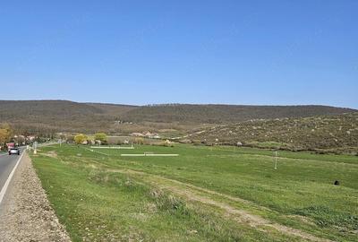 Teren de 7200 mp, în Crețești - 3
