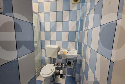 Apartament cu 2 camere nedecomandat, mobilat în Ultracentral - 8