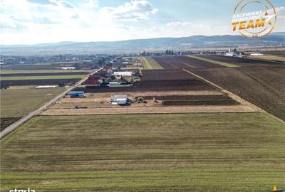 Spațiu comercial, în Chilieni - 10