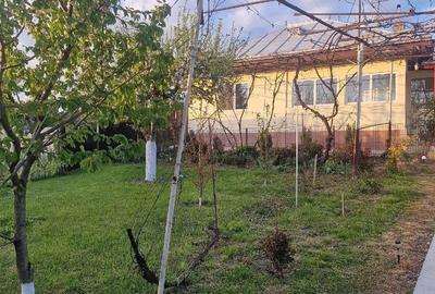 Casă cu 3 camere cu Teren 1352 Mp în Horia - 6