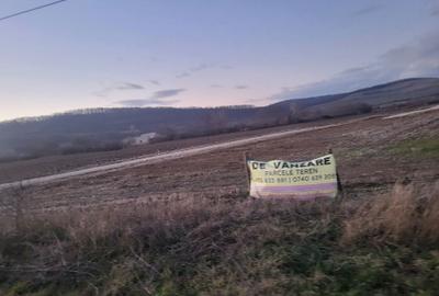 Teren de 500 mp, în Oșorhei - 6