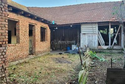 Casă cu Teren 1129 Mp în Berliște - 18