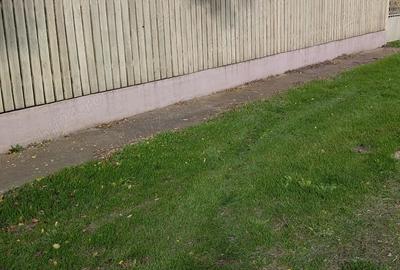 Casă cu 3 camere cu Teren 1877 Mp în Movila - 9