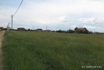 Teren de 500 mp, în Cicir - 4
