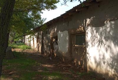 Teren de 1335 mp, în Grădiștea - 2