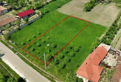 RECO . Teren intravilan in Betfia 2180mp . - 5