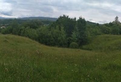 Teren intravilan de vanzare - 3