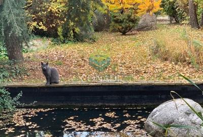 Zona Baneasa, vila speciala de vanzare, 290 mp construiti - 2