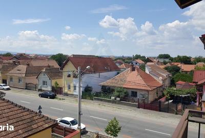 Apartament cu 4 camere, mobilat în Terezian - 12