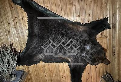 Casa de vanzare in Cartisoara, Transfagarasan - 8 camere, teren 971 mp - 21