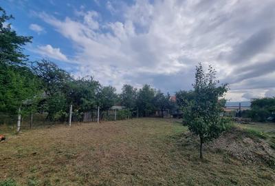 Spațiu comercial, în Viile Satu Mare - 5