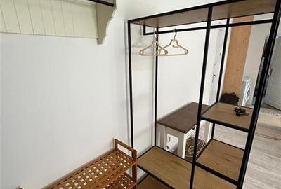 Apartament 2 camere de inchiriat, demisol, Calea Turzii - 4