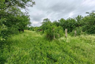 Teren de 18645 mp, în Sântămăria de Piatră - 8