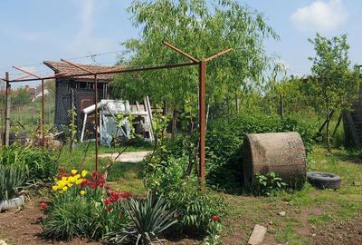 Casă cu 6 camere în Curtici - 3