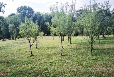 Teren Cornu de Jos intravilan, retras ,cu intimitate , doar 2 case pe straduta - 4
