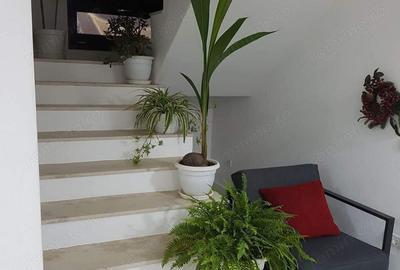 Casa noua Zona Freidorf - 3