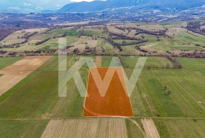 Teren agricol intravilan de 8557 mp, în Zărnești - 3