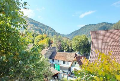 Teren Intravilan - Pozitionare Centrala - 1