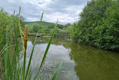 Teren Construcții intravilan de 30000 mp, în Exterior Est - 18